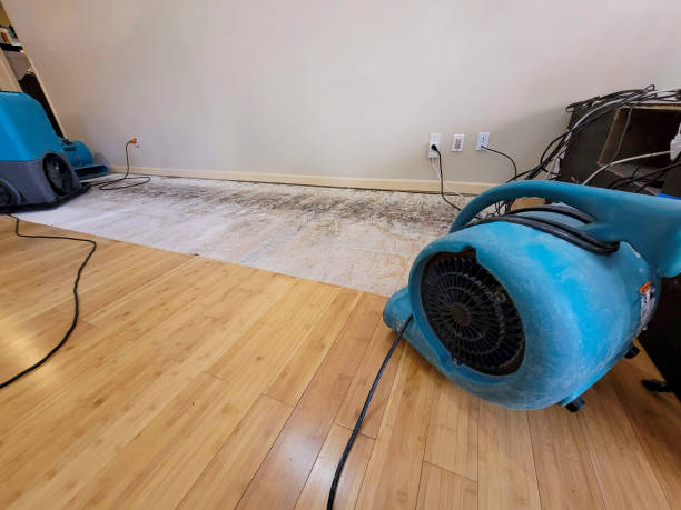 Professional Ceiling Water Damage Repair technician working in Waubun, MN